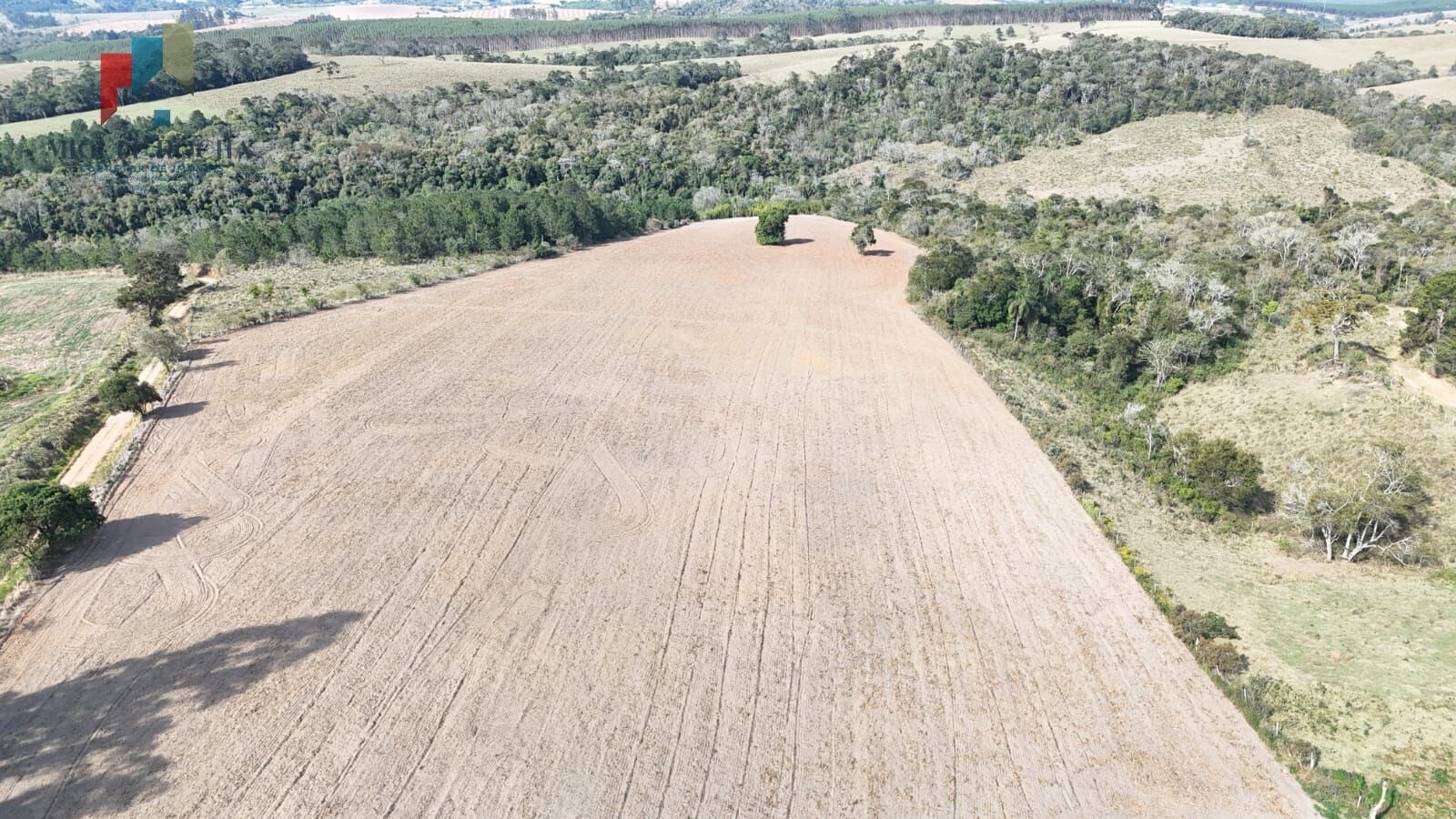 Fazenda, 117 hectares - Foto 8