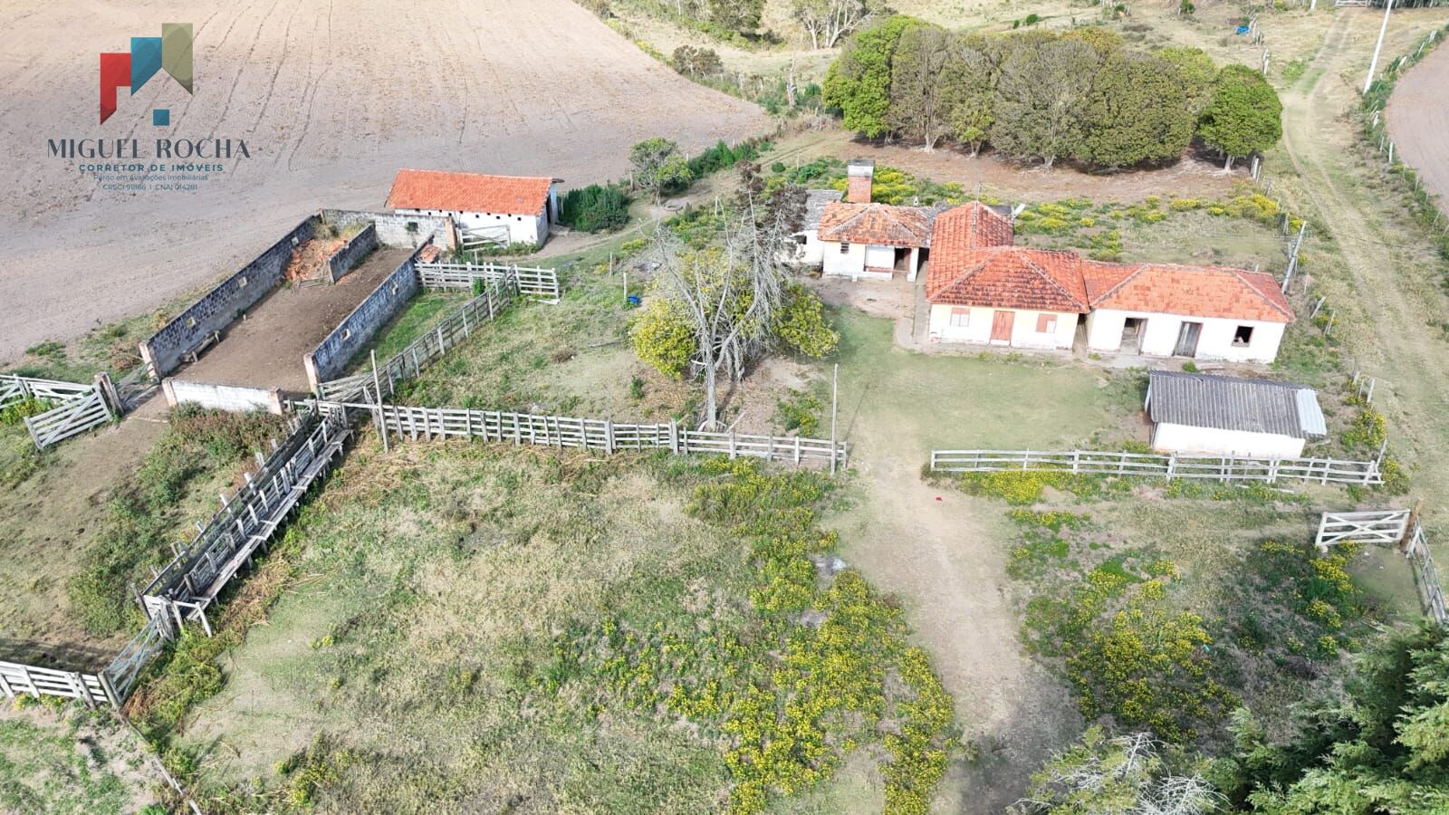 Fazenda, 117 hectares - Foto 4