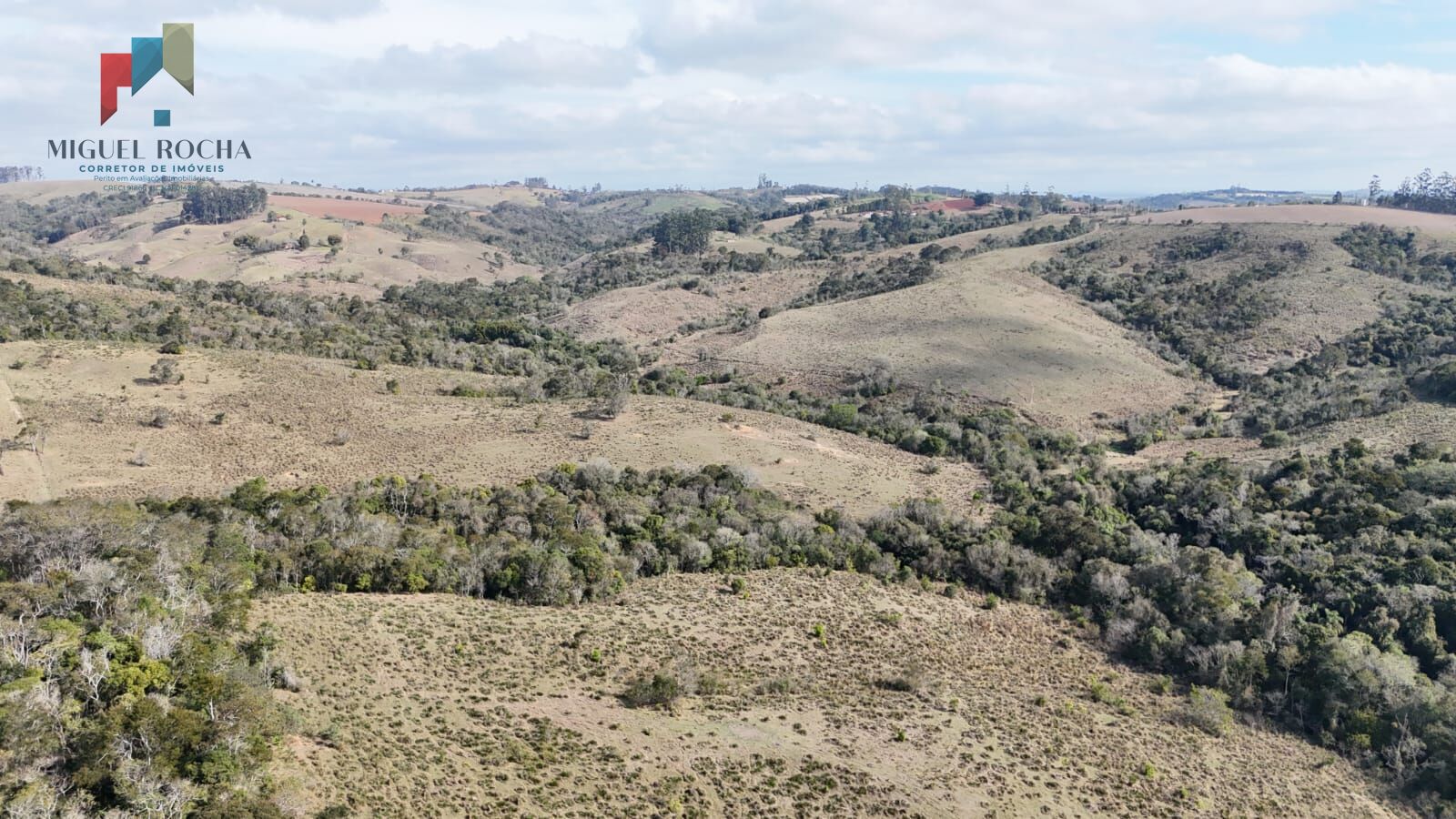 Fazenda, 117 hectares - Foto 24