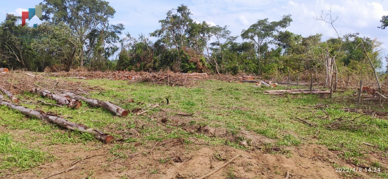 Fazenda à venda com 1 quarto, 338800m² - Foto 7