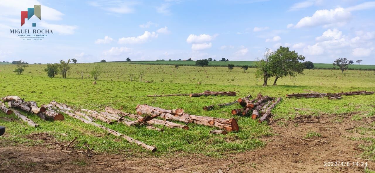 Fazenda à venda com 1 quarto, 338800m² - Foto 3