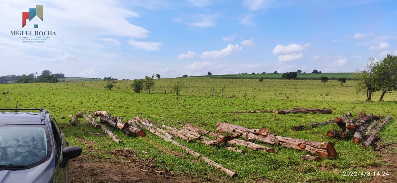 Fazenda à venda com 1 quarto, 338800m² - Foto 5