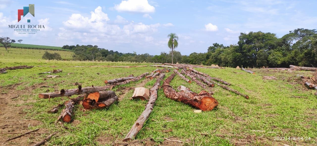 Fazenda à venda com 1 quarto, 338800m² - Foto 4