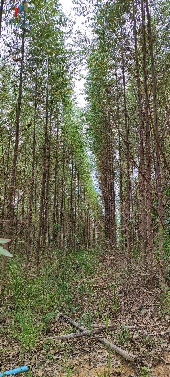 Fazenda, 2 quartos - Foto 18