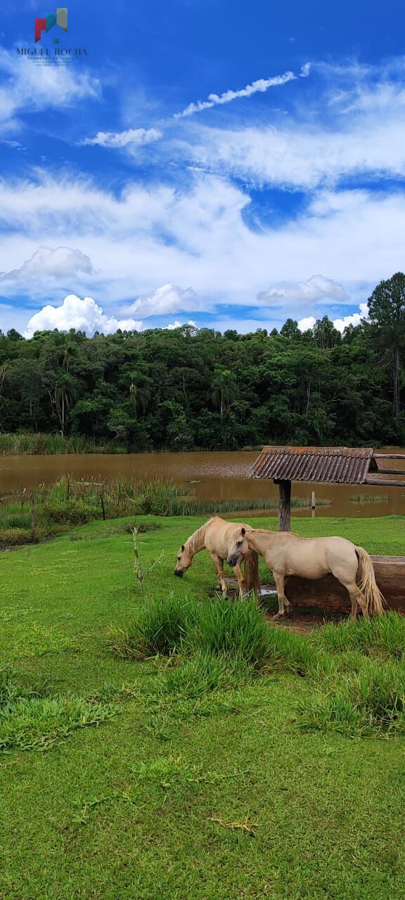 Fazenda, 2 quartos - Foto 23