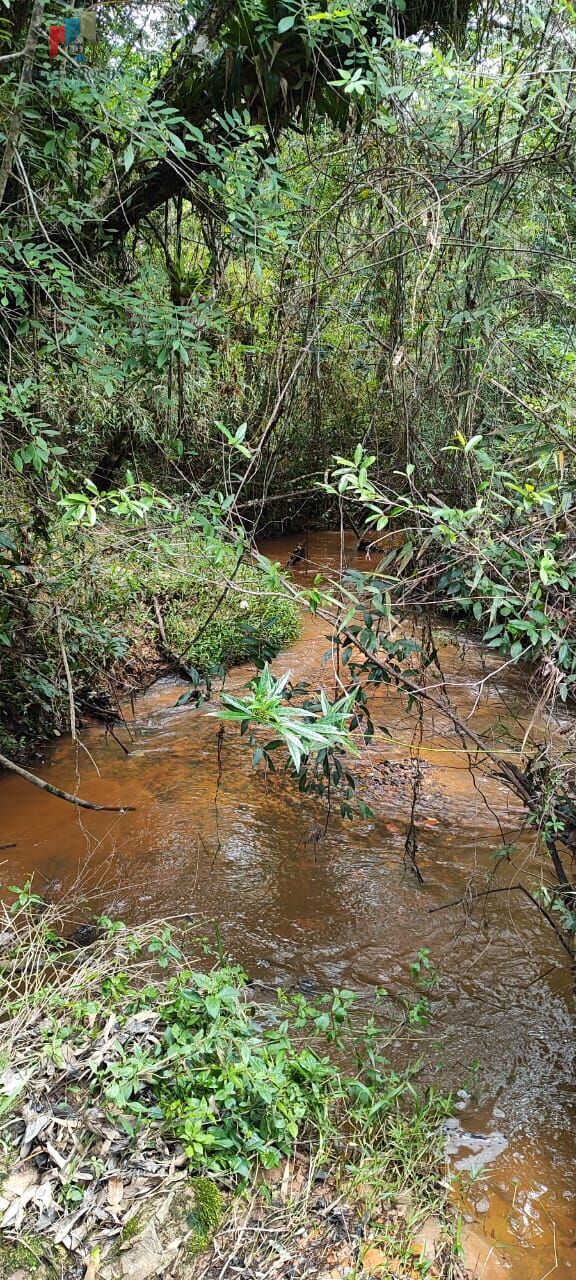 Fazenda, 2 quartos - Foto 25