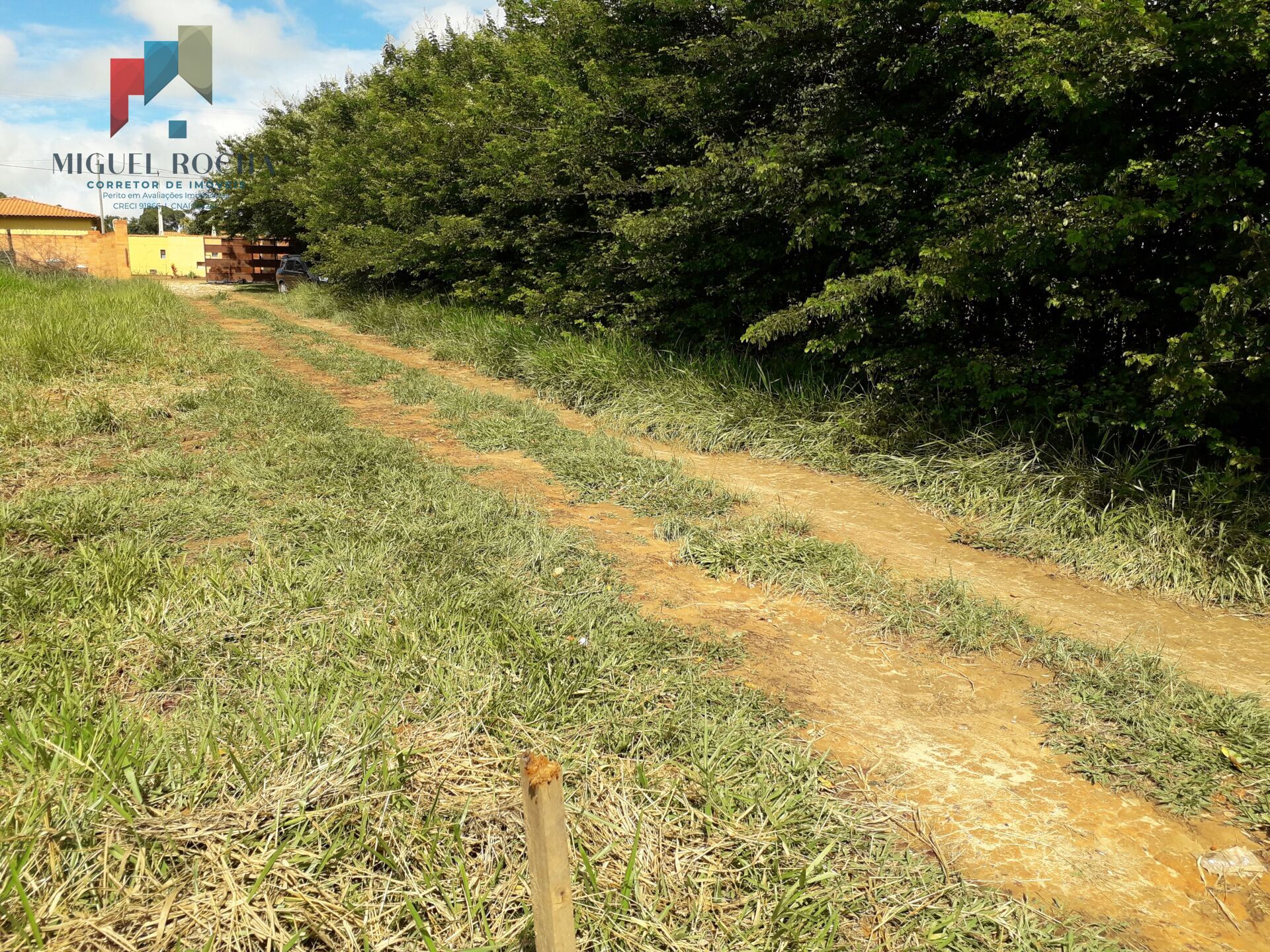 Terreno à venda, 3000m² - Foto 6