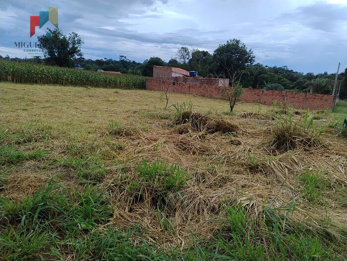 Terreno, 1000 m² - Foto 1