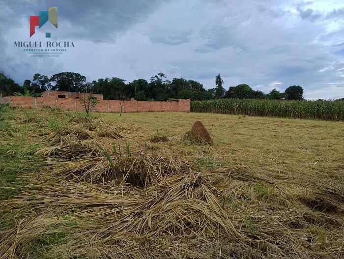 Terreno, 1000 m² - Foto 3