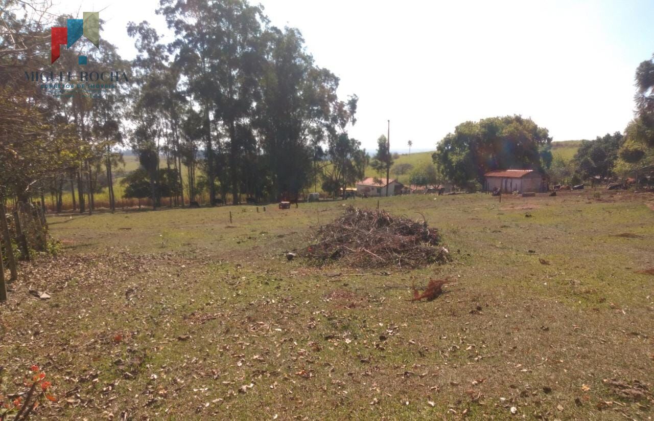 Fazenda à venda com 2 quartos, 1573000m² - Foto 10