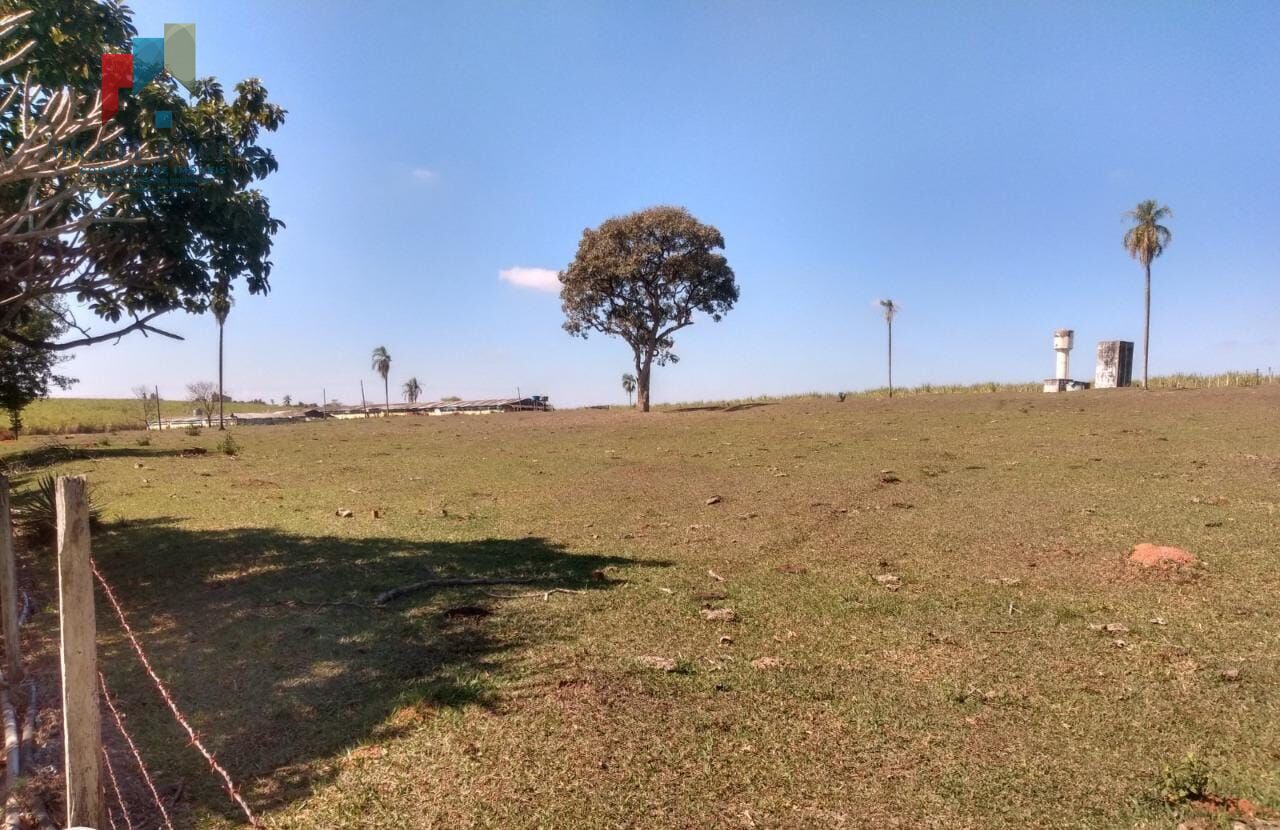 Fazenda à venda com 2 quartos, 1573000m² - Foto 12