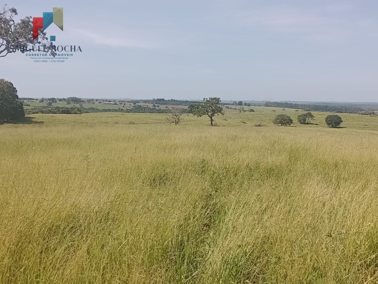 Fazenda à venda com 2 quartos, 2468400m² - Foto 7