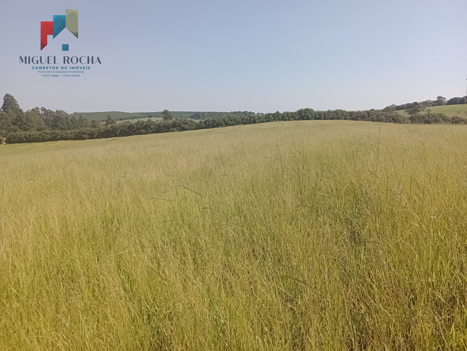 Fazenda à venda com 2 quartos, 2468400m² - Foto 8