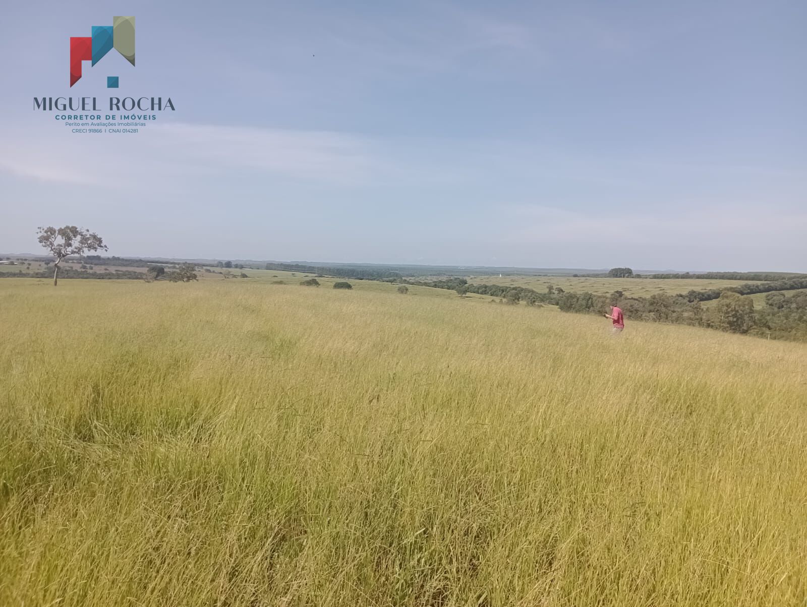 Fazenda à venda com 2 quartos, 2468400m² - Foto 3