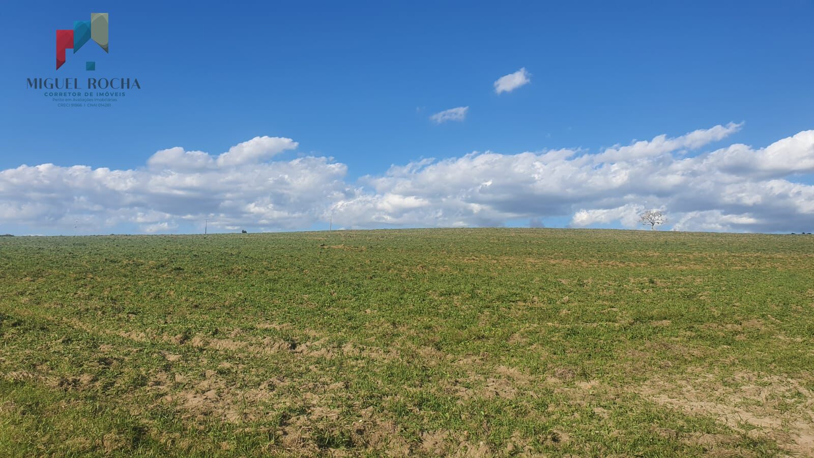 Fazenda à venda com 2 quartos, 2468400m² - Foto 6