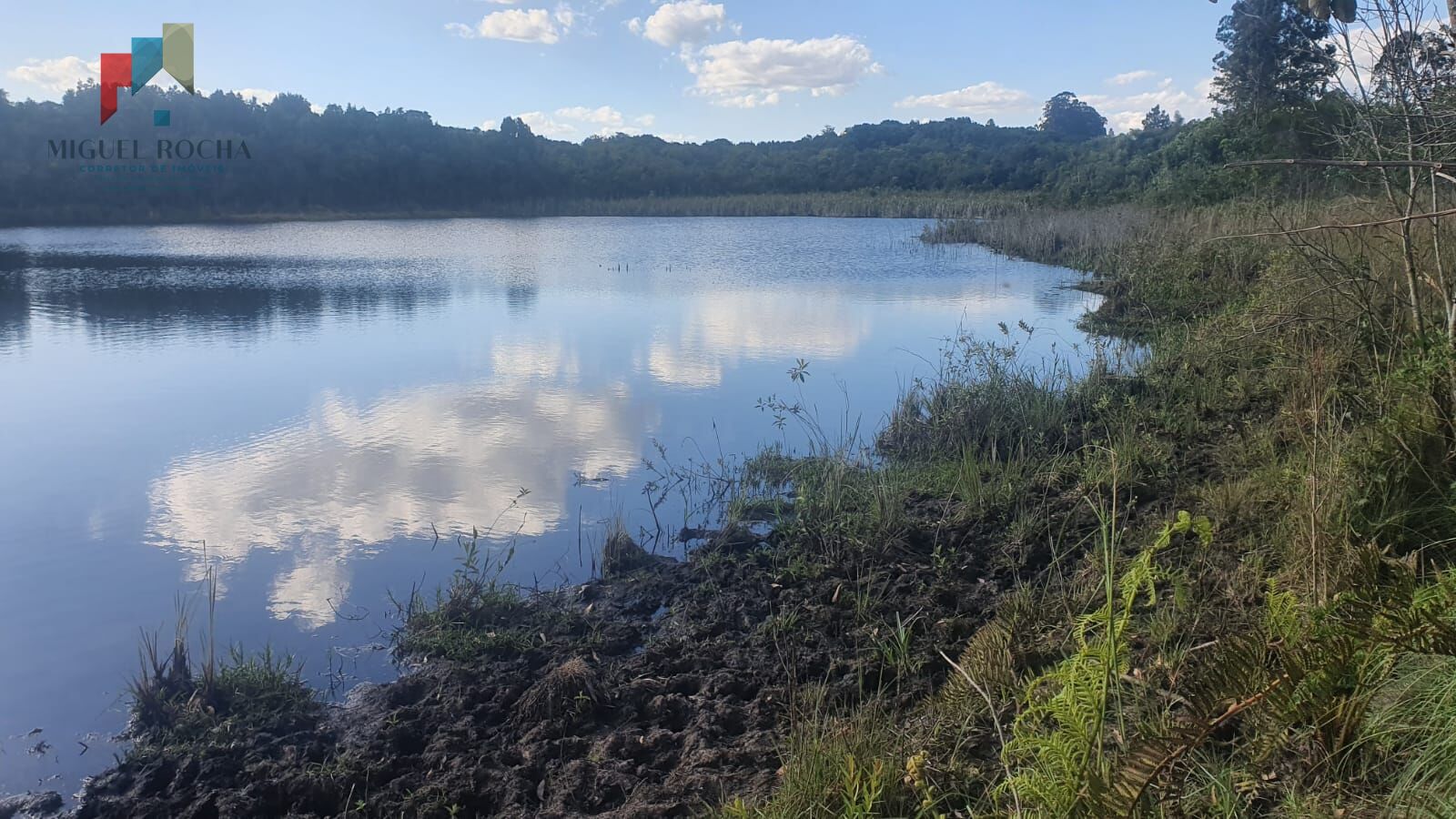 Fazenda à venda com 2 quartos, 2468400m² - Foto 16