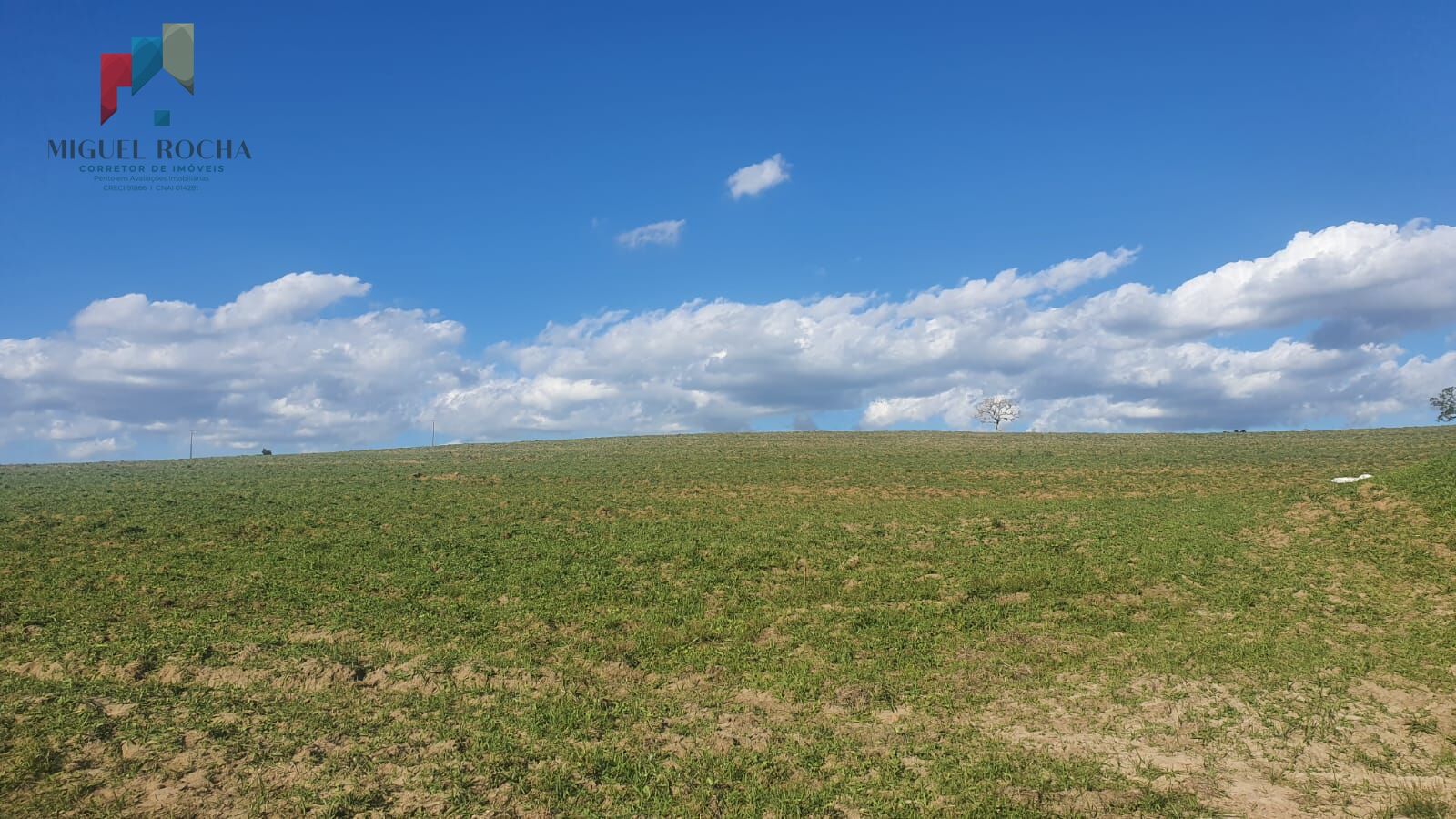 Fazenda à venda com 2 quartos, 2468400m² - Foto 13