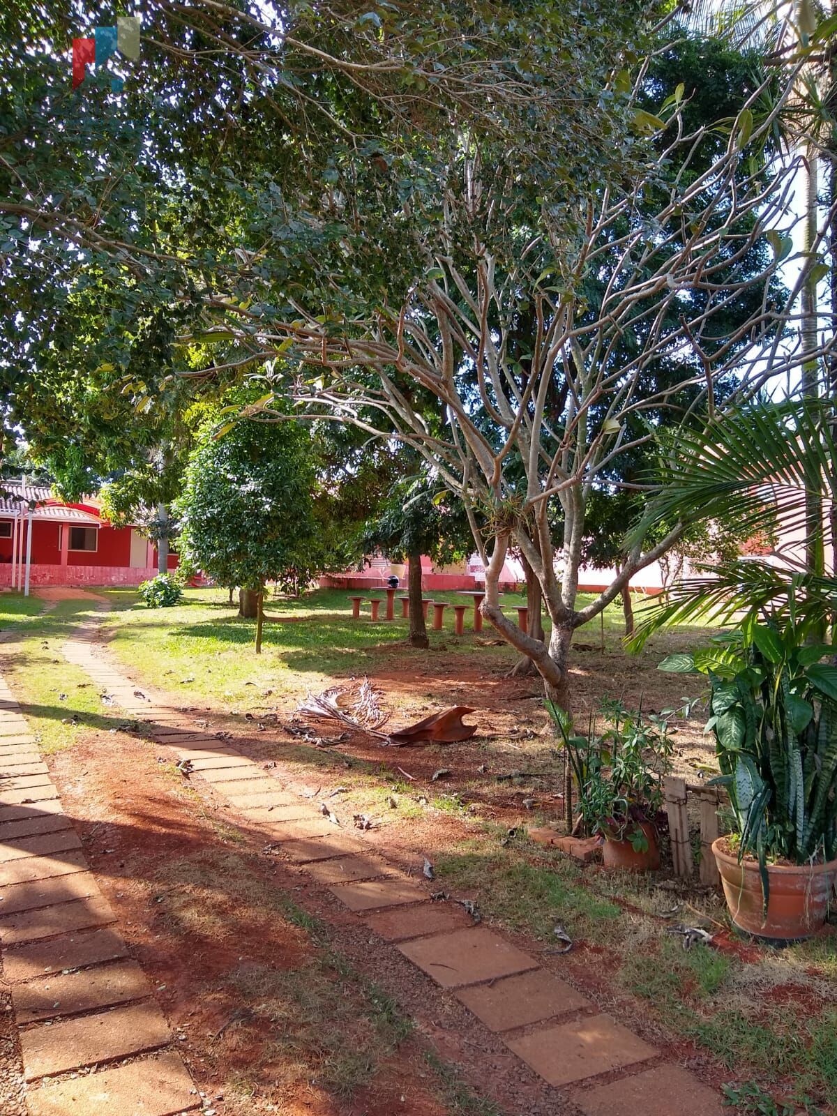 Fazenda à venda com 3 quartos, 1024m² - Foto 5