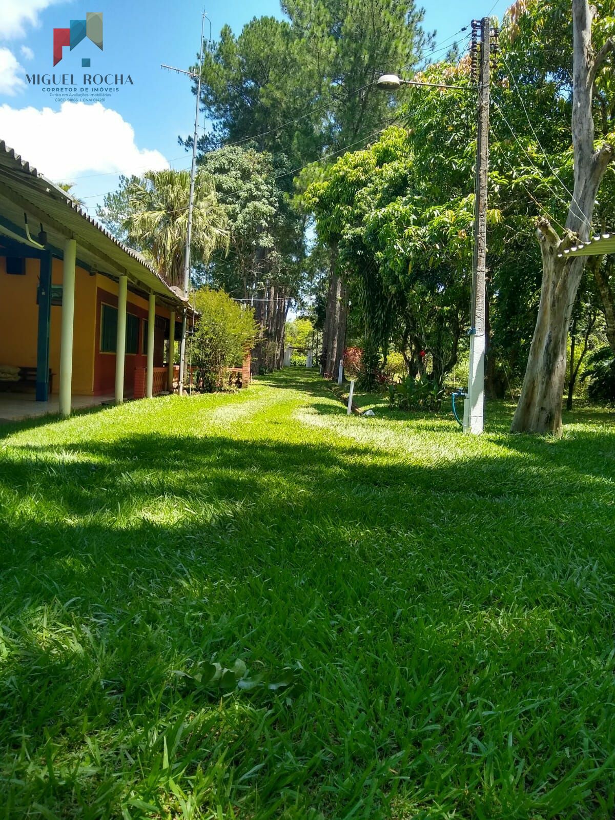 Fazenda à venda com 3 quartos, 5050m² - Foto 5