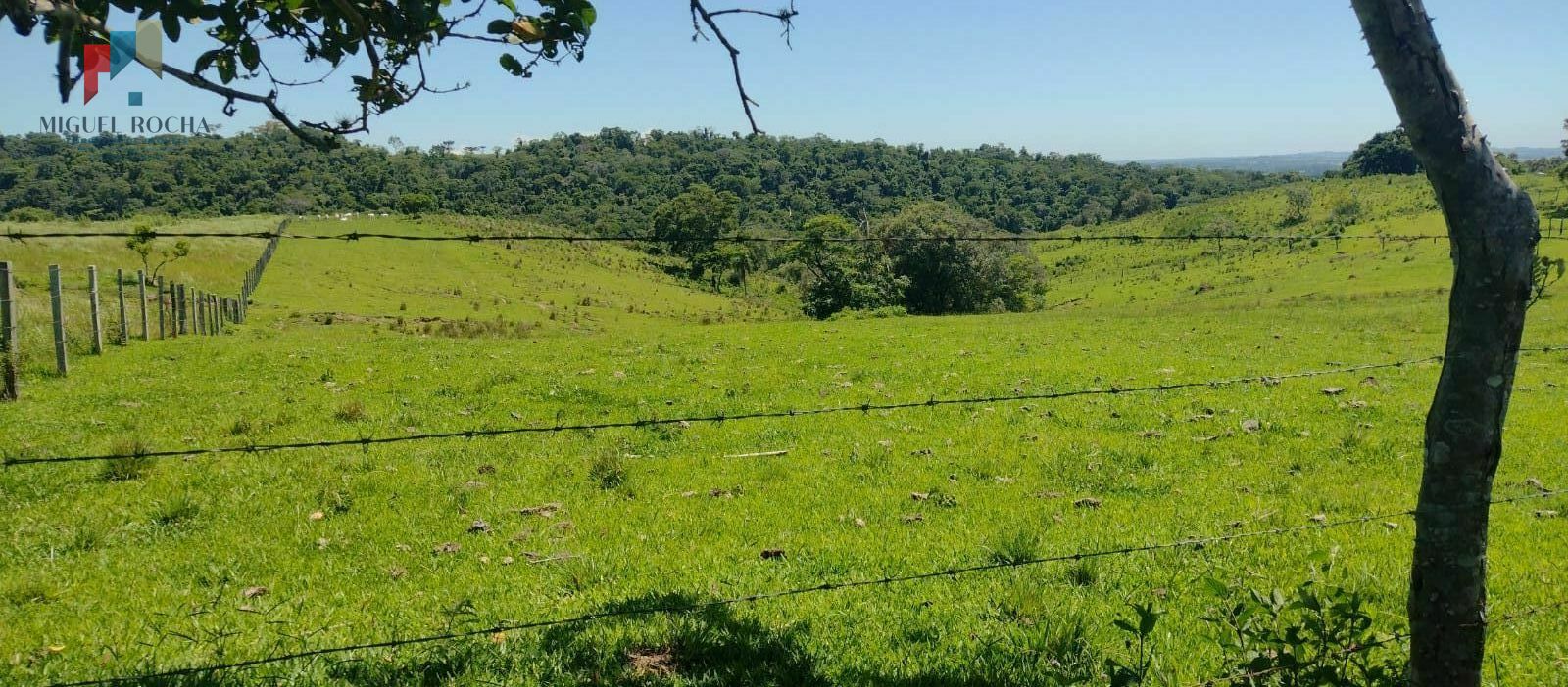 Fazenda à venda, 85383m² - Foto 10