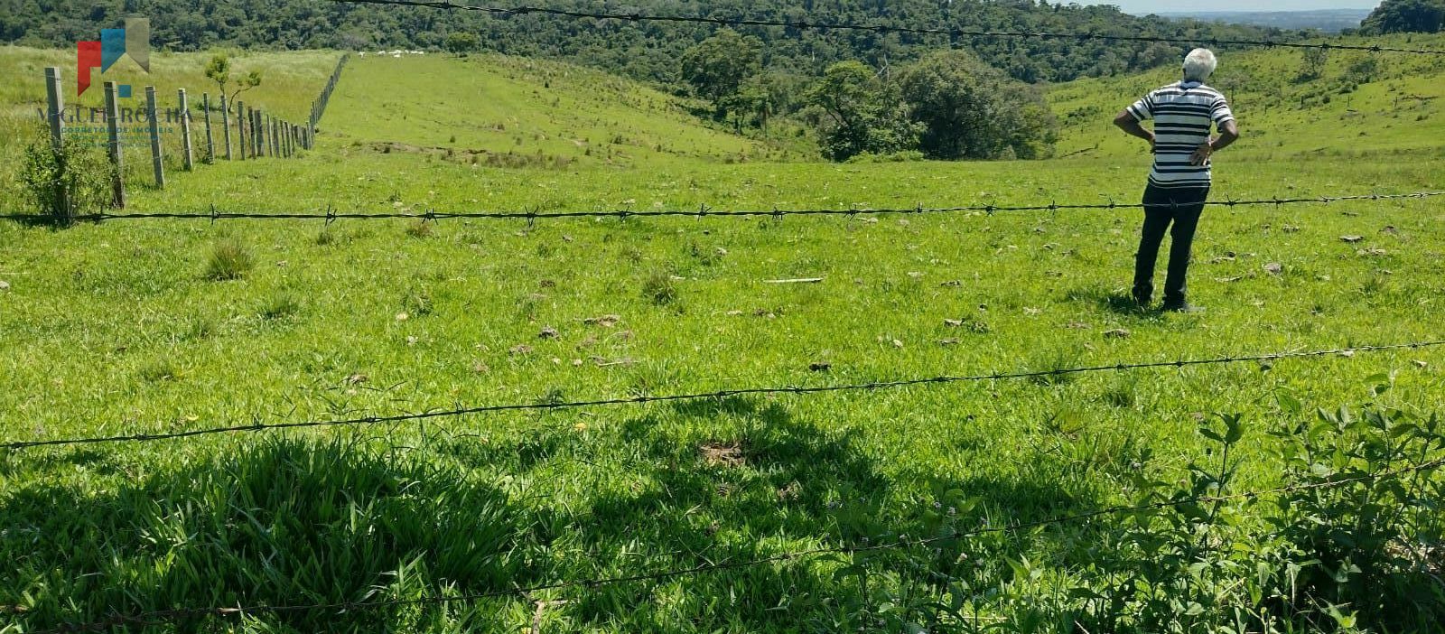 Fazenda à venda, 85383m² - Foto 8