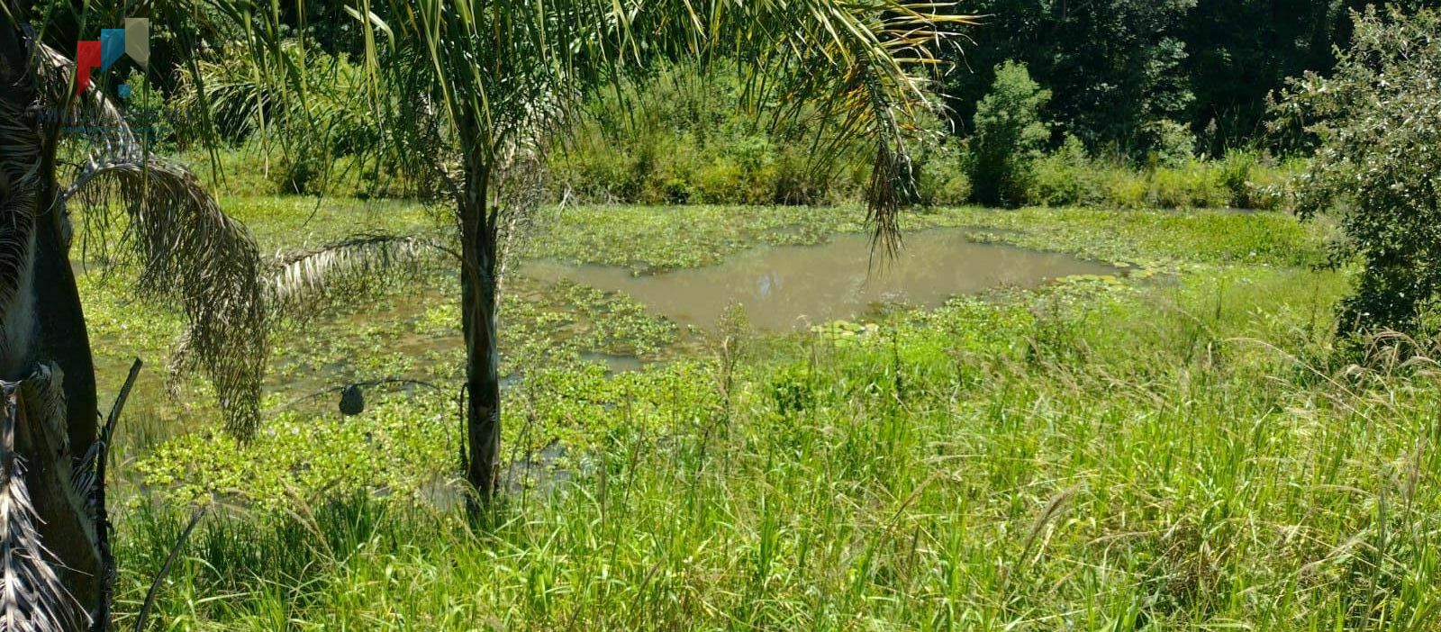 Fazenda à venda, 85383m² - Foto 4