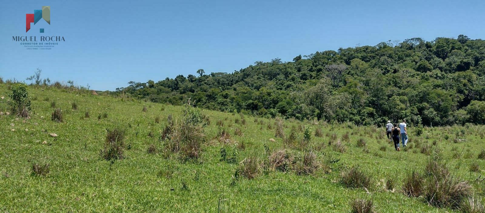 Fazenda à venda, 85383m² - Foto 3