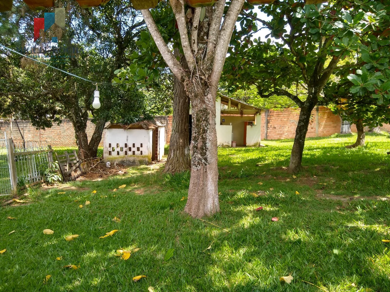 Fazenda à venda com 3 quartos, 2567m² - Foto 39