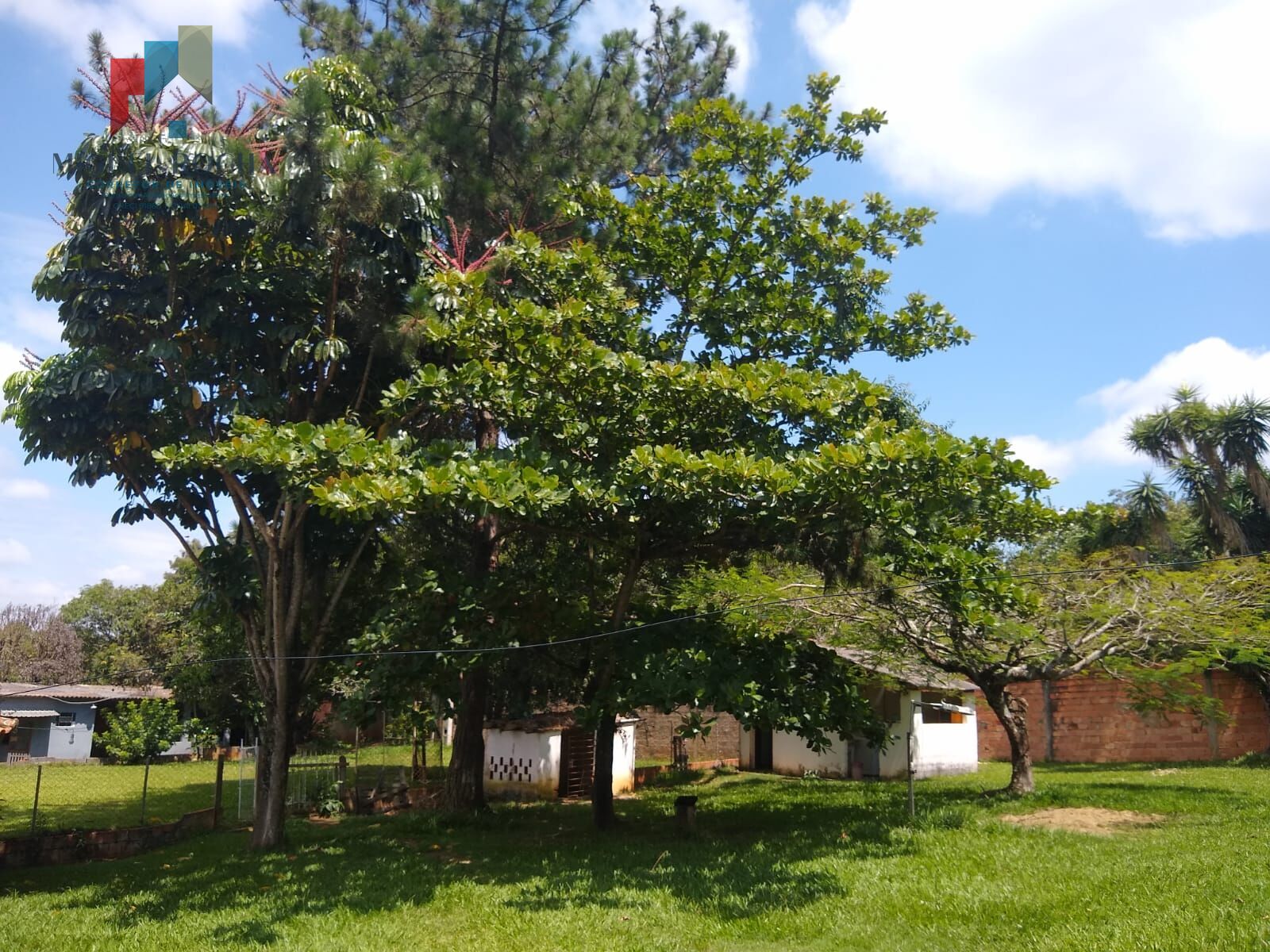 Fazenda à venda com 3 quartos, 2567m² - Foto 32