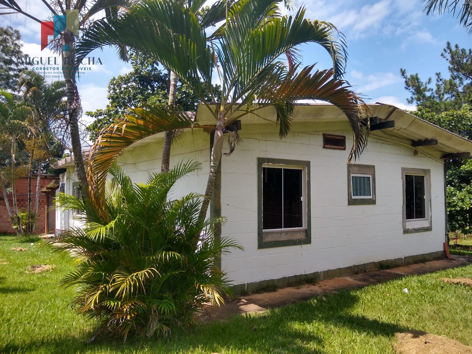 Fazenda à venda com 3 quartos, 2567m² - Foto 6