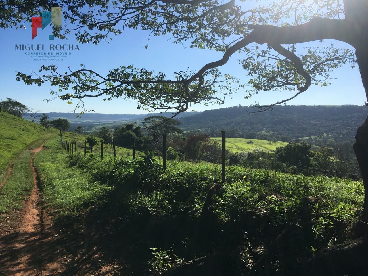 Fazenda à venda - Foto 4