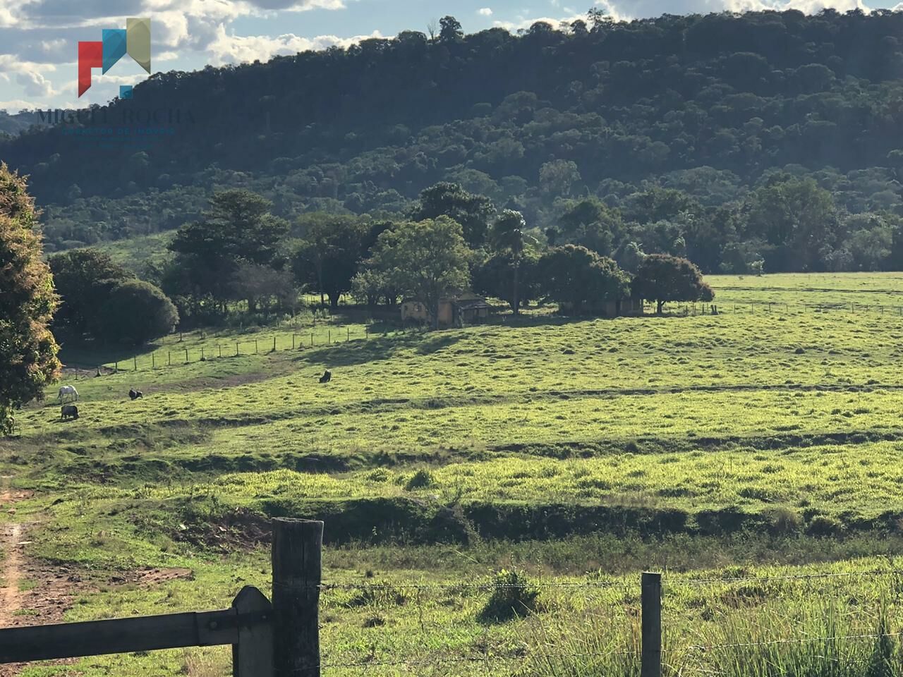 Fazenda à venda - Foto 6