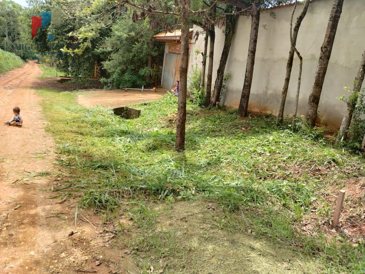 Chácara, 2 quartos, 1200 m² - Foto 6