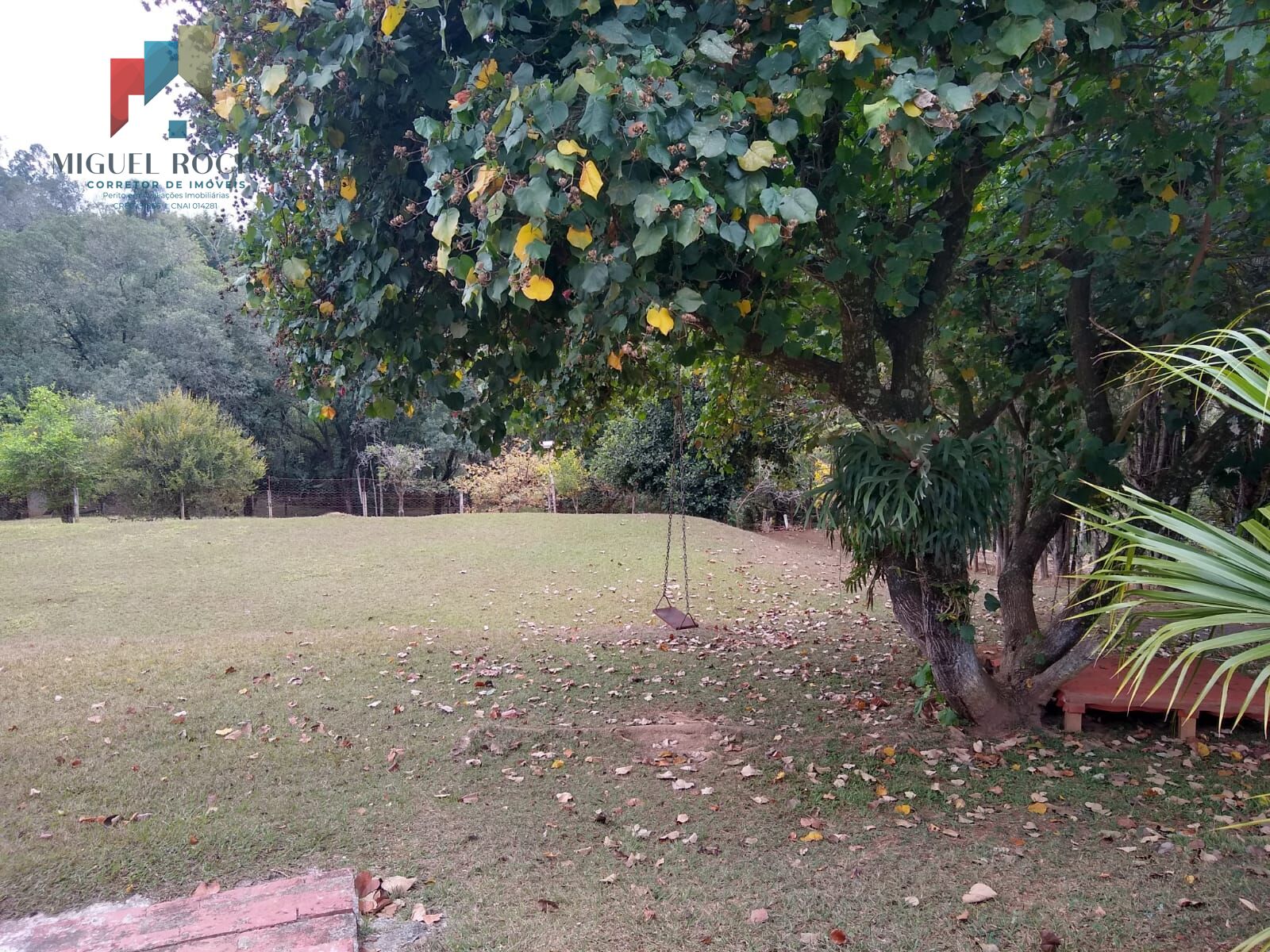 Fazenda à venda com 3 quartos, 5300m² - Foto 36