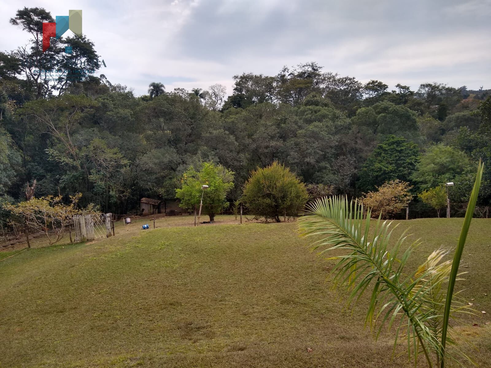 Fazenda à venda com 3 quartos, 5300m² - Foto 39