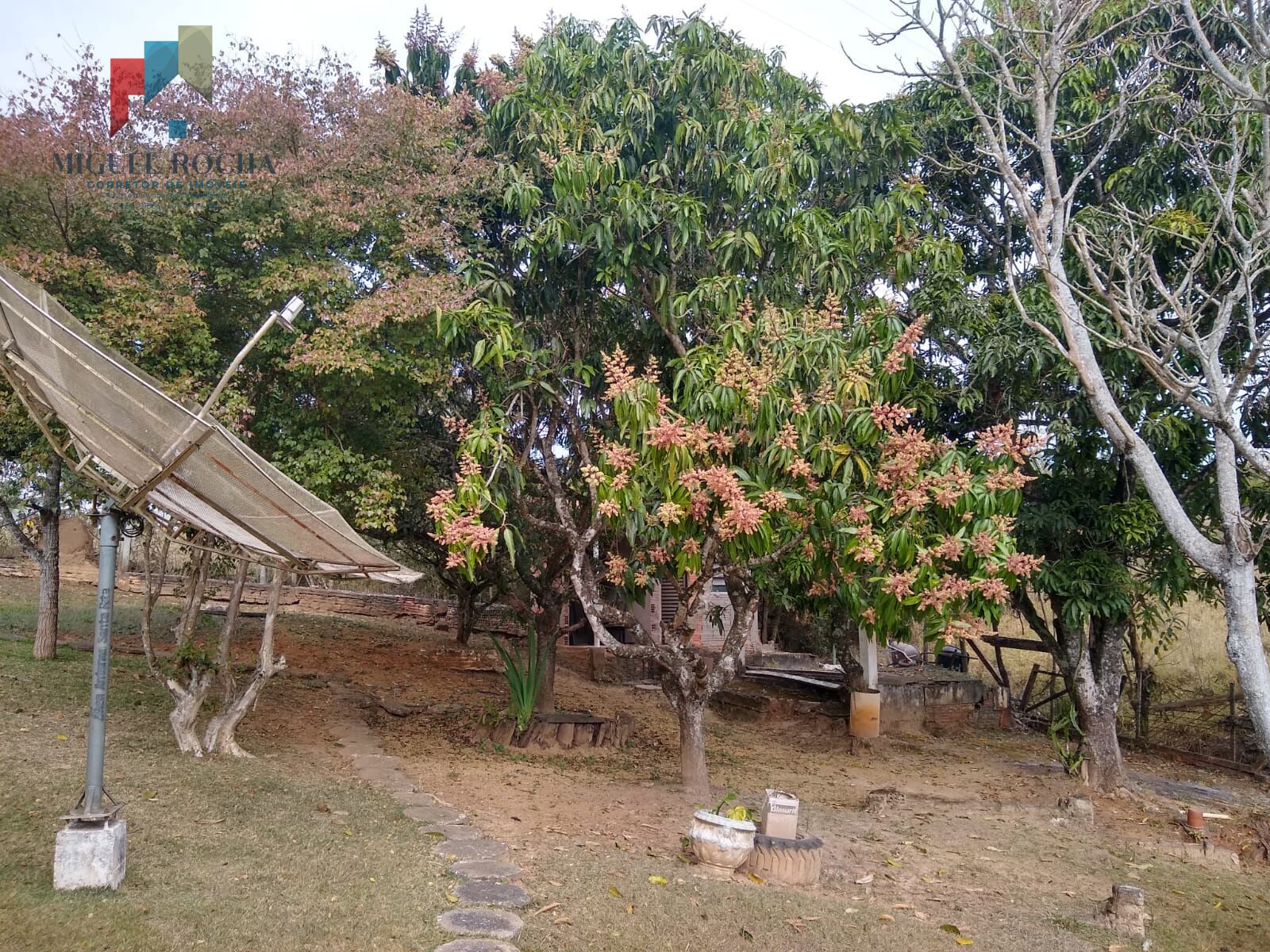 Fazenda à venda com 3 quartos, 5300m² - Foto 35