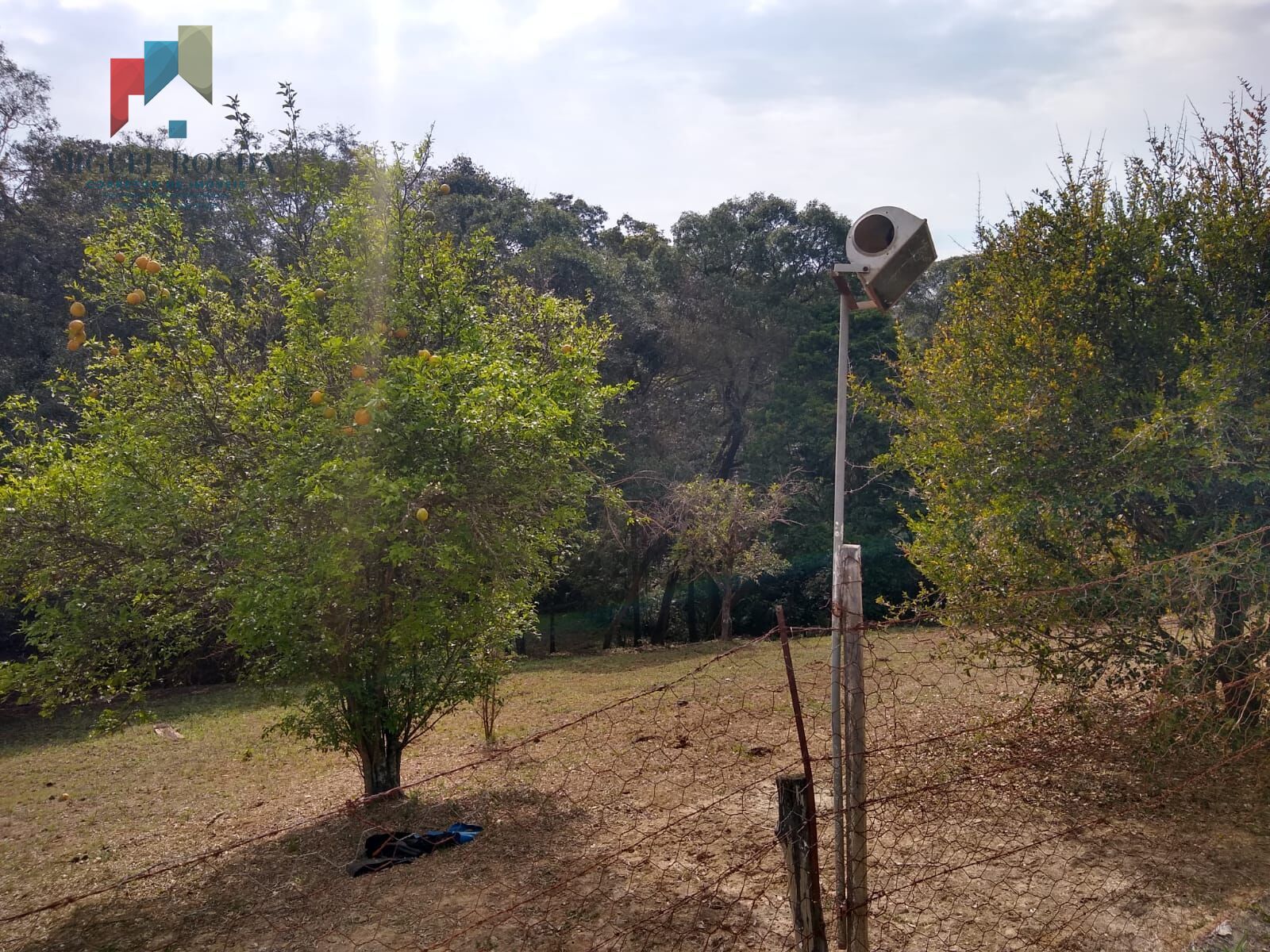 Fazenda à venda com 3 quartos, 5300m² - Foto 37