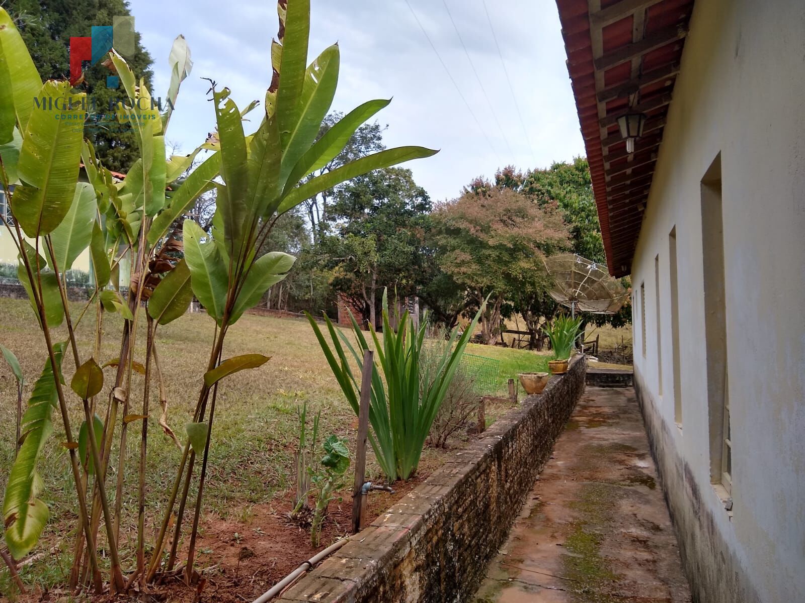 Fazenda à venda com 3 quartos, 5300m² - Foto 44