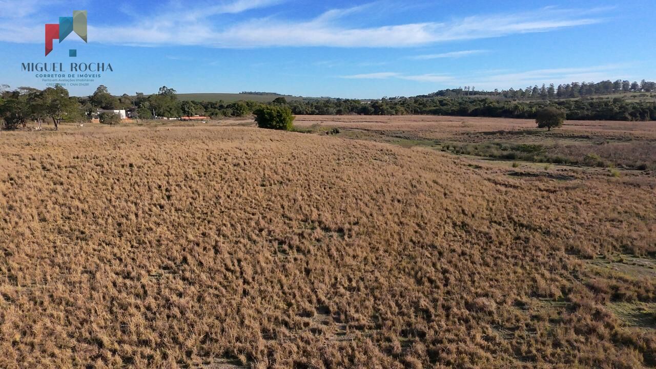 Fazenda à venda com 2 quartos, 605000m² - Foto 7