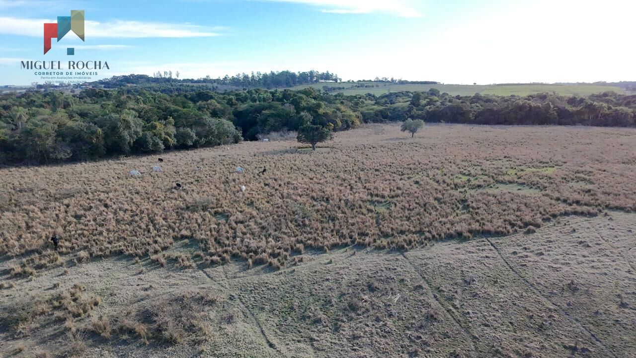 Fazenda à venda com 2 quartos, 605000m² - Foto 10