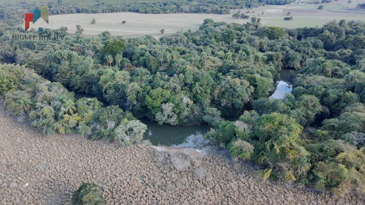 Fazenda à venda com 2 quartos, 605000m² - Foto 4