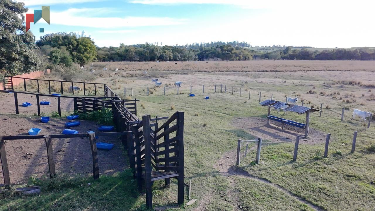 Fazenda à venda com 2 quartos, 605000m² - Foto 1