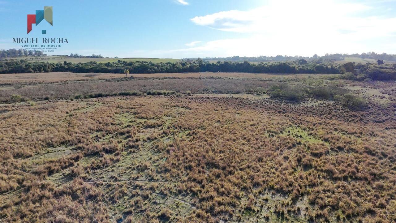 Fazenda à venda com 2 quartos, 605000m² - Foto 8