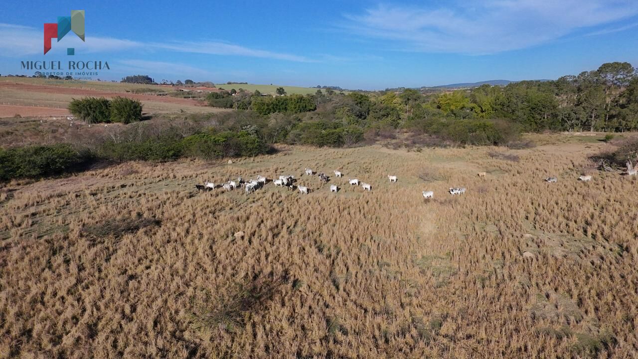 Fazenda à venda com 2 quartos, 605000m² - Foto 3