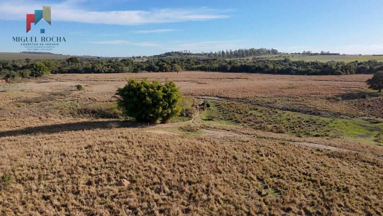 Fazenda à venda com 2 quartos, 605000m² - Foto 6