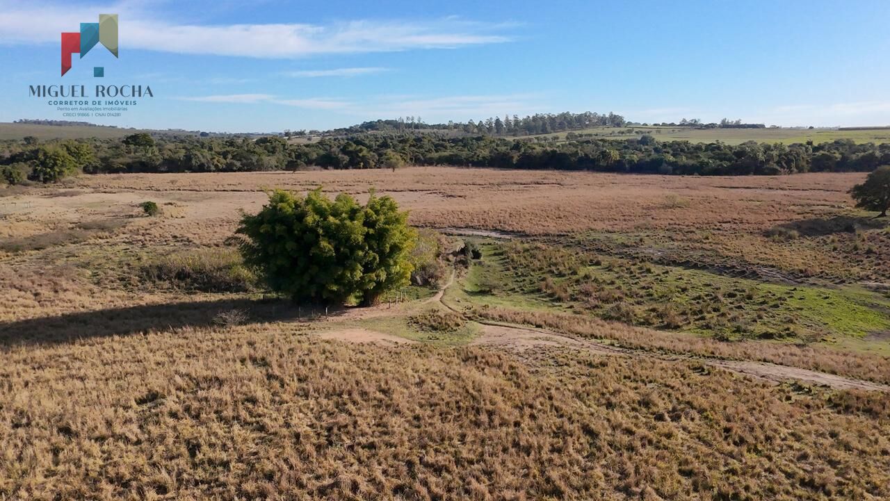 Fazenda à venda com 2 quartos, 605000m² - Foto 5