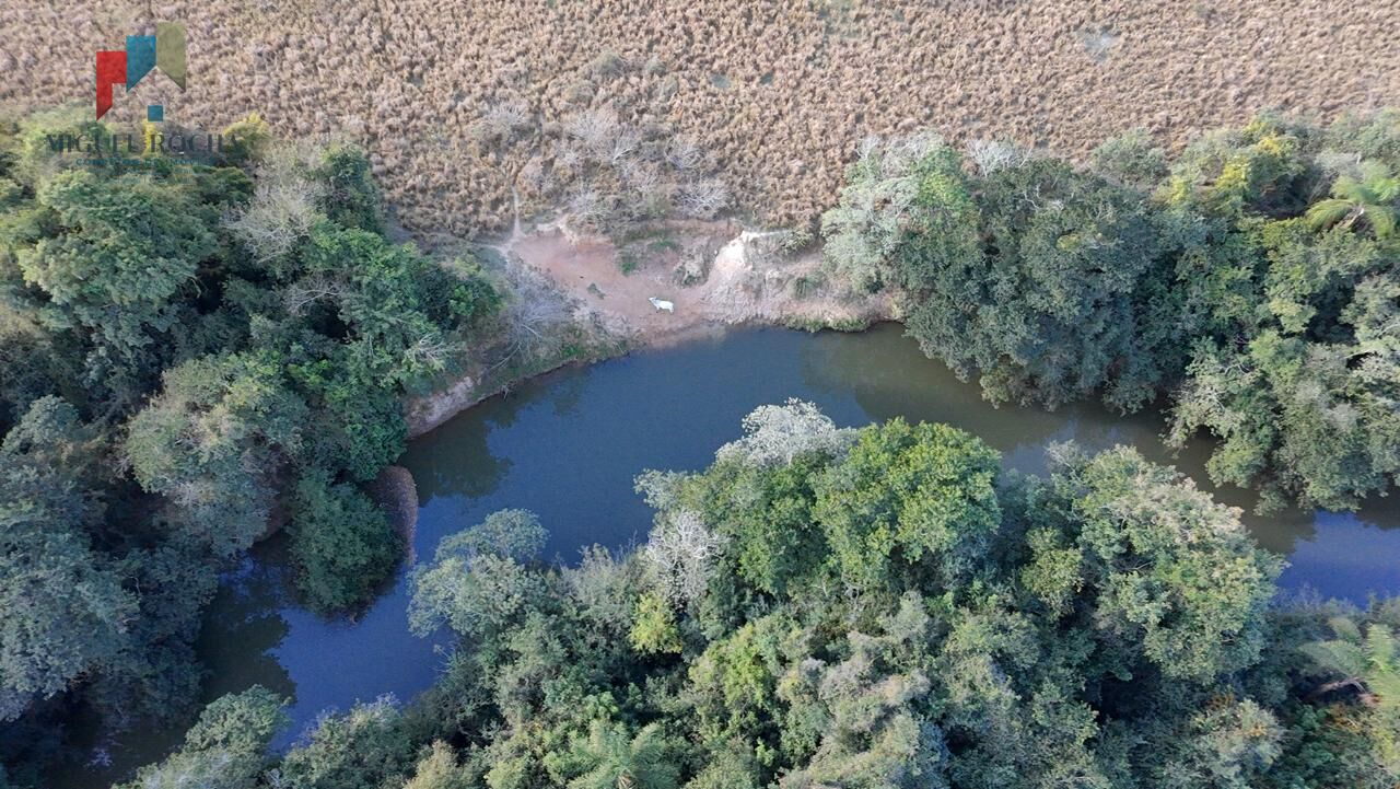Fazenda à venda com 2 quartos, 605000m² - Foto 12