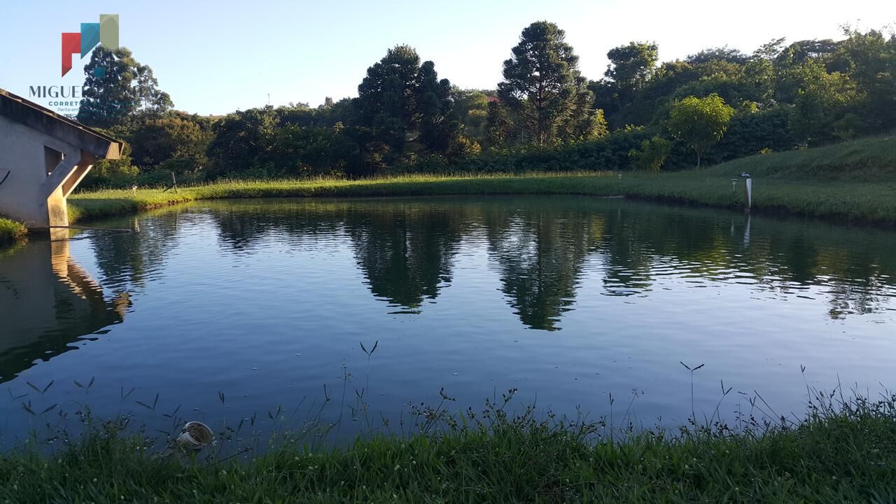 Fazenda à venda com 4 quartos, 23000m² - Foto 39