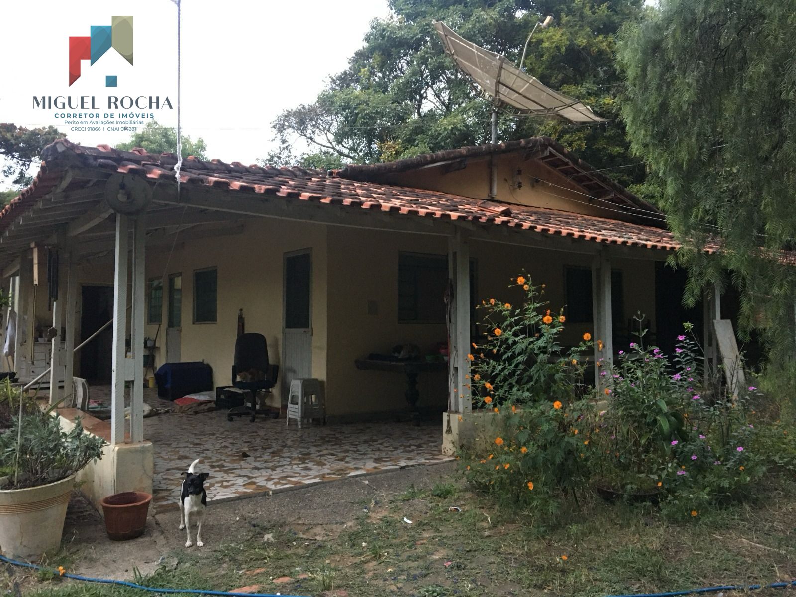 Fazenda à venda com 2 quartos - Foto 3
