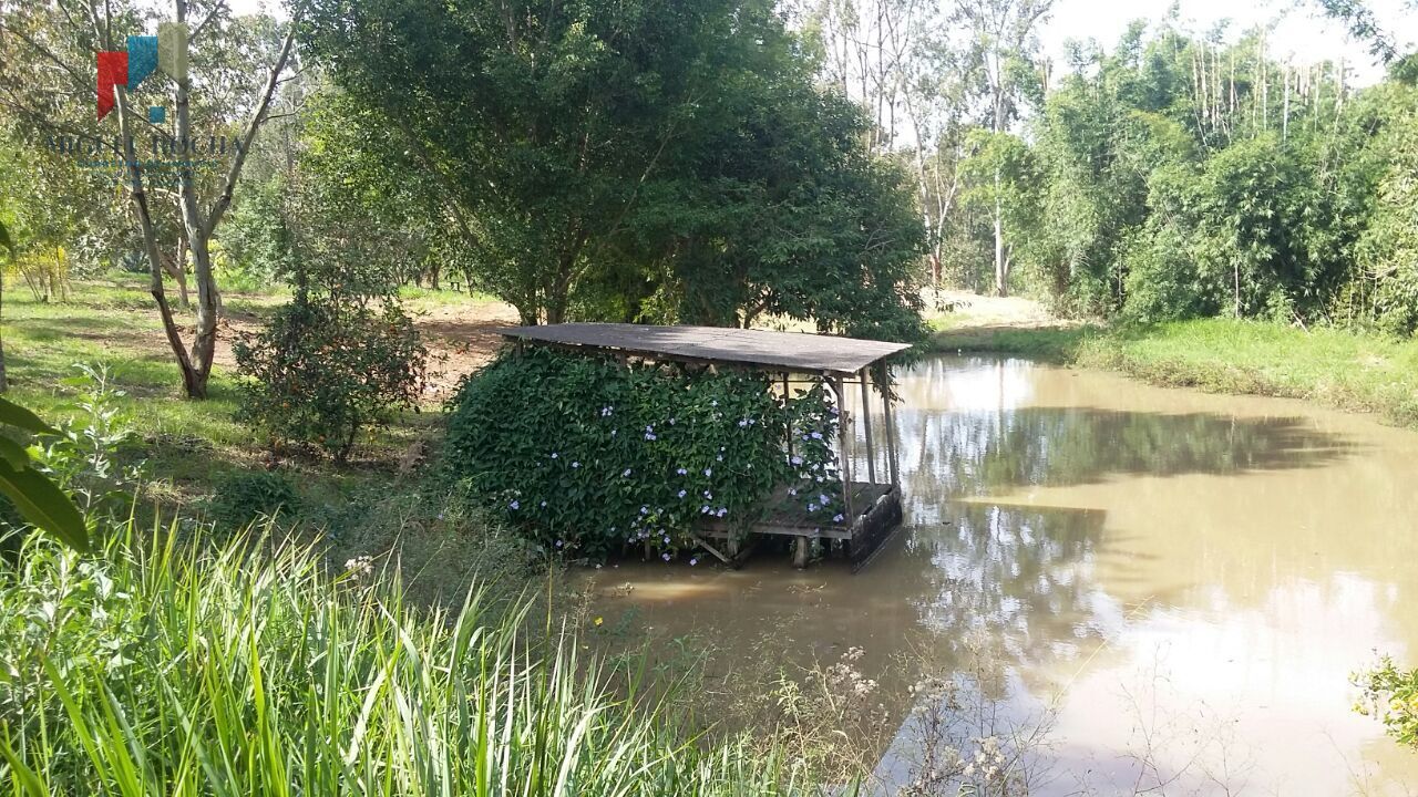 Fazenda à venda com 2 quartos - Foto 15